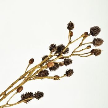 Branche de chardon brun artificielle 56 cm - Composition florale 2