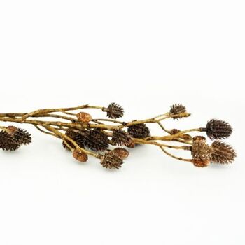 Branche de chardon brun artificielle 56 cm - Composition florale 3