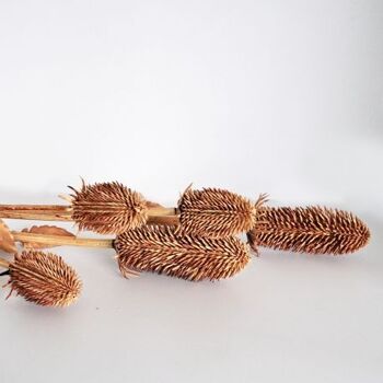 Branche de chardon marron artificielle 50 cm - Composition florale 1