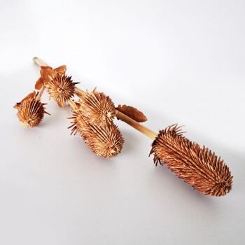 Branche de chardon marron artificielle 50 cm - Composition florale 2
