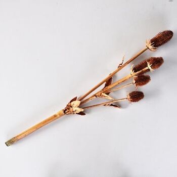 Branche de chardon marron artificielle 50 cm - Composition florale 3