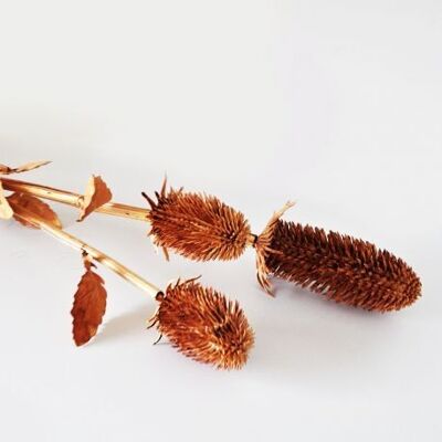 Branche de chardon marron artificielle 80 cm  - Composition florale