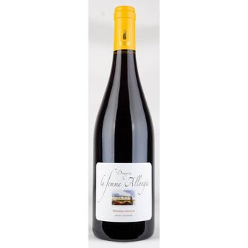 Vin rouge fruité Les Branquignols 2022 AOP Saint-Chinian 13% 75cl