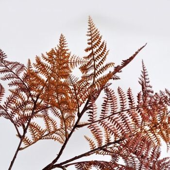 Branche de fougère brun artificielle 96 cm  - Composition florale 4