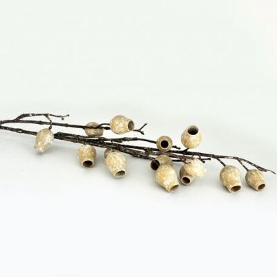 Artificial white eucalyptus pod branch 86 cm - Floral arrangement