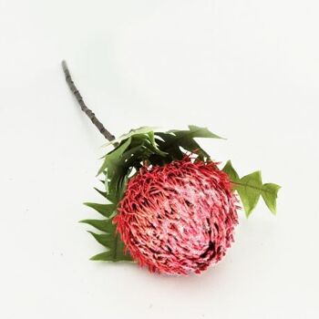 Branche de prothea rose artificielle 68 cm  - Composition florale 1