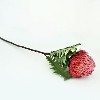 Branche de prothea rose artificielle 68 cm  - Composition florale 5
