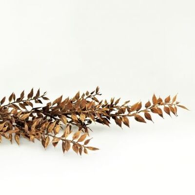 Künstlicher grauer Ruskuszweig 94 cm - Blumenarrangement