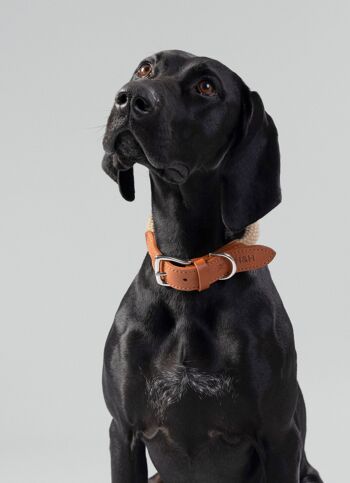 Hackett x Hugo & Hudson Collier pour chien en corde ronde naturelle avec cuir cognac 2