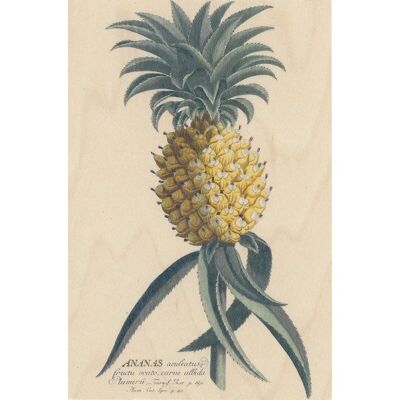 Carte postale en bois - bnf botanique ananas
