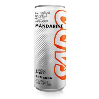 Eau minérale aromatisée Mandarine - gazeuse - 330ml 1
