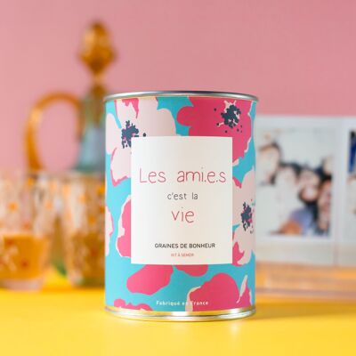 kit de siembra "amigos".mi.s c'est la vie" hecho en francia