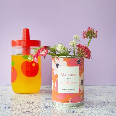 Kit de siembra "Mi hermana eres la mejor" Made in France