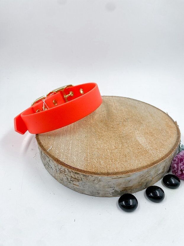 Collana “Semplicemente”.