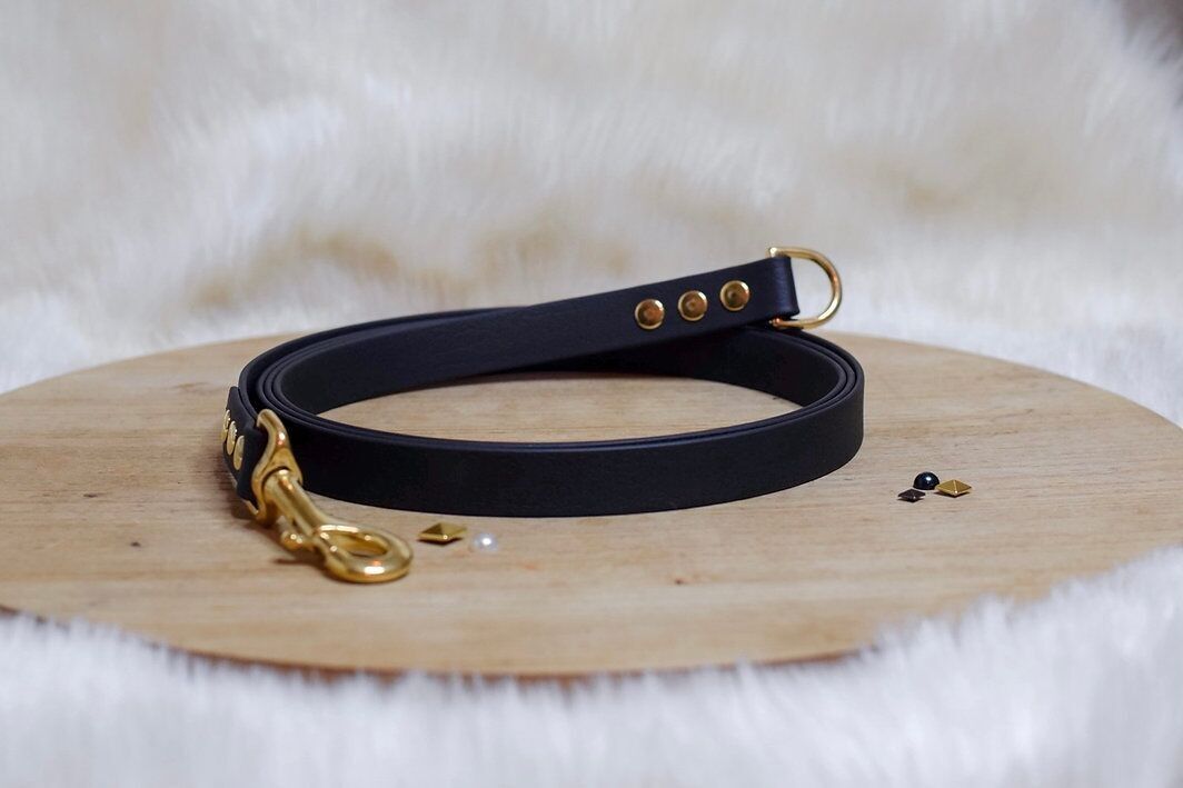 Guinzaglio rimovibile