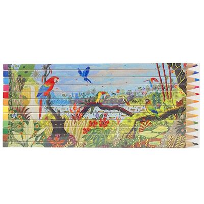 Boite de 12 crayons Jungle aux 3 Aras (lot de 4)