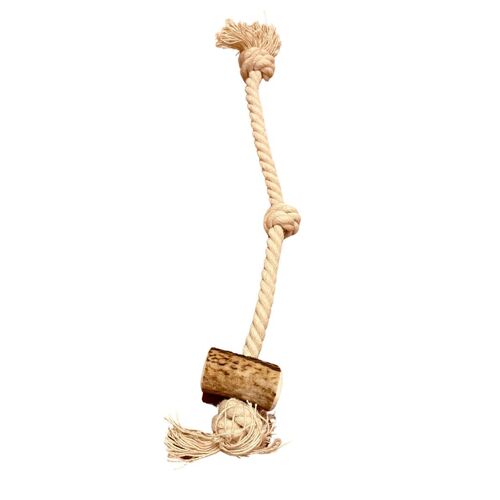 Bois de cerf avec corde STRING-jouet de mastication naturelle