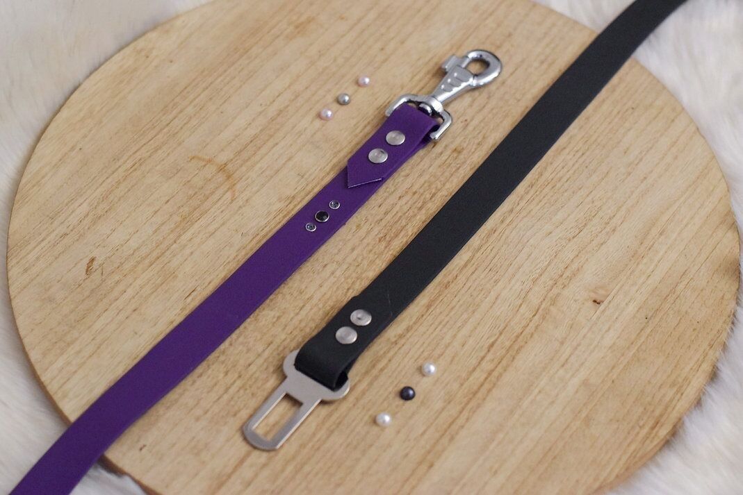 Ceinture de sécurité