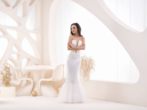 Bridal petticoat, dress petticoat - R22