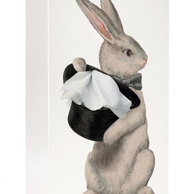 Racconto di fazzoletti Alice Rabbit - scatola di fazzoletti di coniglio - Pasqua - regalo fatato
