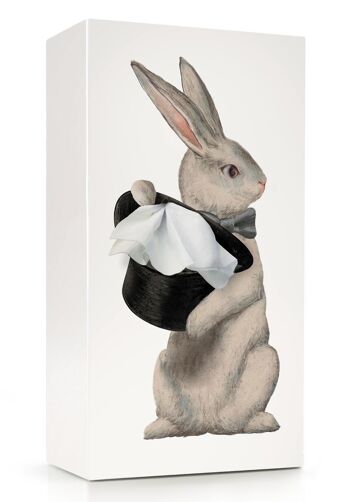 Tissue up tale Alice Rabbit - boite à mouchoirs en papier - lapin - cadeau - Pâques 1