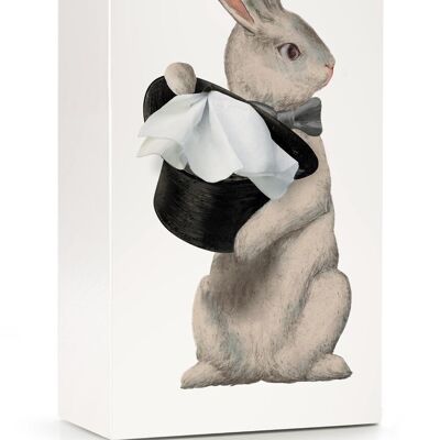 Racconto di fazzoletti Alice Rabbit - scatola di fazzoletti di carta - coniglio - regalo - Pasqua