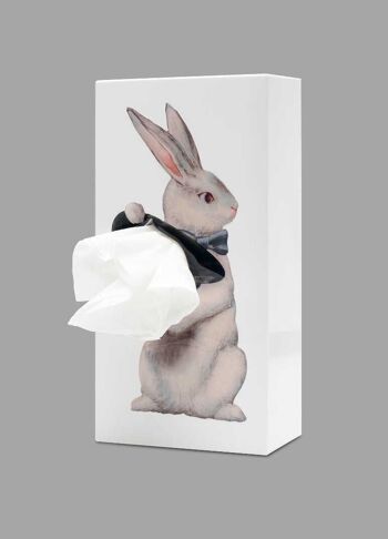 Tissue up tale Alice Rabbit - boite à mouchoirs en papier - lapin - cadeau - Pâques 2