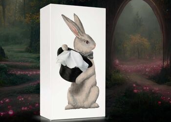 Tissue up tale Alice Rabbit - boite à mouchoirs en papier - lapin - cadeau - Pâques 4