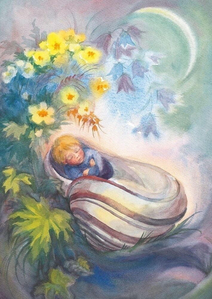 Carte postale du petit poucet