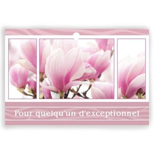 Eternel 1002 008 Pour quelqu'un d'exceptionnel x 10 cartes - Carte de vœux