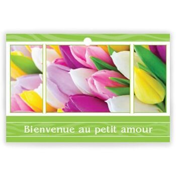 Eternel 1002 013 Bienvenue au petit amour x 10 cartes - Carte de vœux