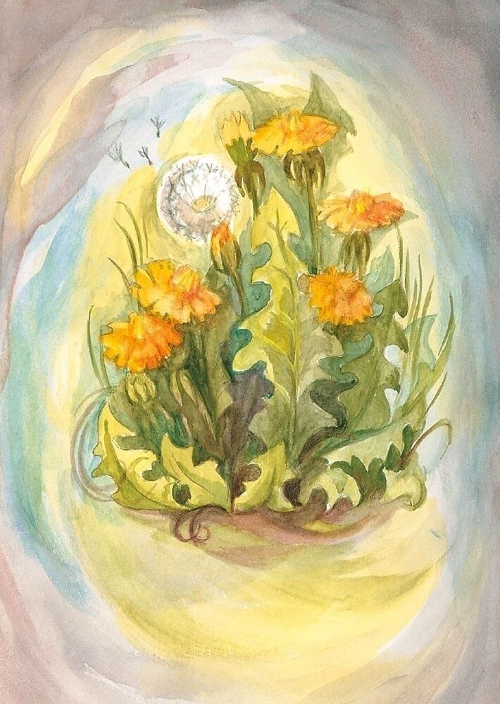 Cartolina dente di leone