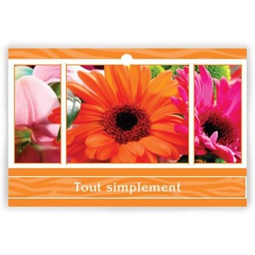 Eternel 1002 017 Tout simplement x 10 cartes - Carte de voeux