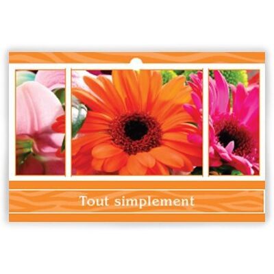 Eternal 1002 017 Quite simply x 10 cards - Greeting card