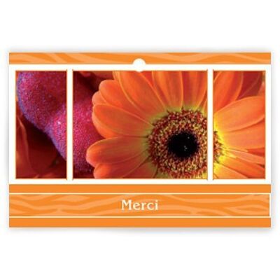 Eternal 1002 020 Thank you x 10 cards - Greeting card