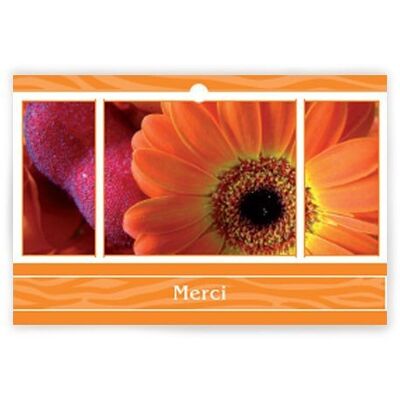 Eternel 1002 020 Merci x 10 cartes - Carte de voeux