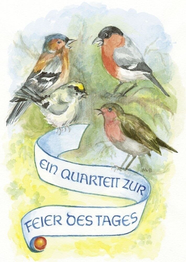 Quartetto di uccelli da cartolina