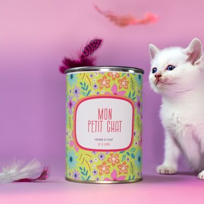 Kit de siembra “Mi pequeño gato” fabricado en Francia