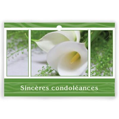 Eternel 1002 029 Sincères condoléances x 10 cartes - Carte de vœux