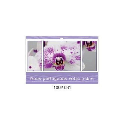 Eternel 1002 031 Nous partageons votre peine x 10 cartes - Carte de voeux