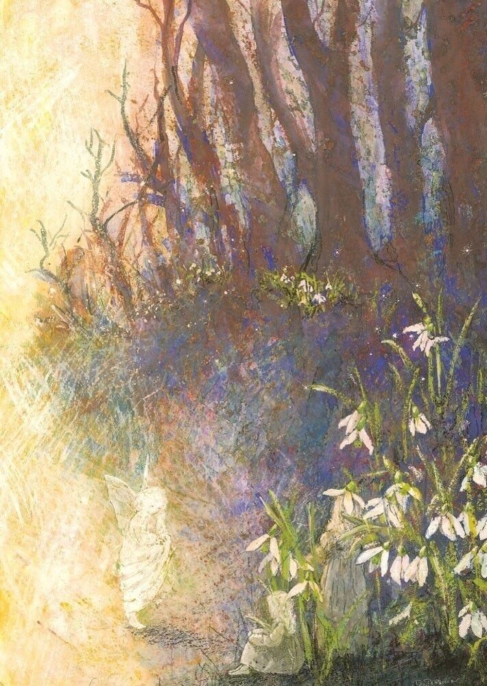 Cartolina degli elfi bucaneve