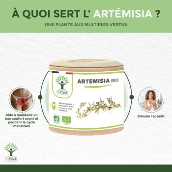 Artémisia Bio - Complément alimentaire - 100% Armoise en Poudre - Appétit Cycle Menstruel Santé rénale - Fabriqué en France - Certifié Ecocert - Vegan - gélules 3