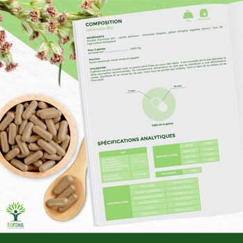 Artémisia Bio - Complément alimentaire - 100% Armoise en Poudre - Appétit Cycle Menstruel Santé rénale - Fabriqué en France - Certifié Ecocert - Vegan - gélules 8