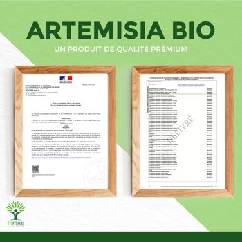 Artémisia Bio - Complément alimentaire - 100% Armoise en Poudre - Appétit Cycle Menstruel Santé rénale - Fabriqué en France - Certifié Ecocert - Vegan - gélules 9