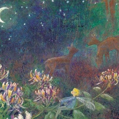 Deer in the night postcard