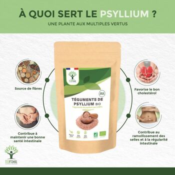 Psyllium Blond Bio - Téguments de Psyllium - Husk Raw - Digestion Transit Cholestérol - Origine Inde - Fabriqué en France - Certifié Ecocert - Vegan 4