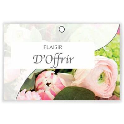 Pure 1001 012 Pleasure of giving x 10 cards - Greeting card