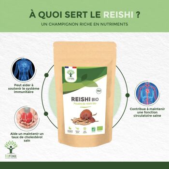 Reishi bio - Superaliment - Poudre de Reishi Pur - Cholestérol Immunité Circulation - Fibres Protéines - Origine Chine - Conditionné en France - Vegan- 100g 2