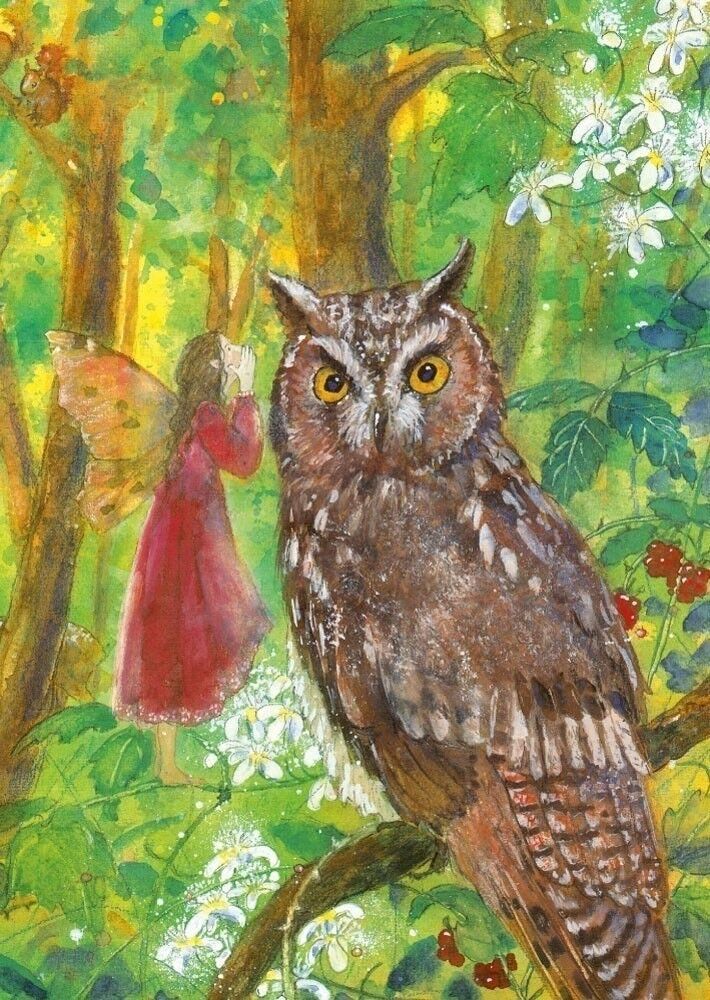 Elf and Owl Postcard