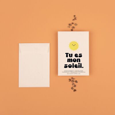 You are my sunshine - Wildflower seed packets